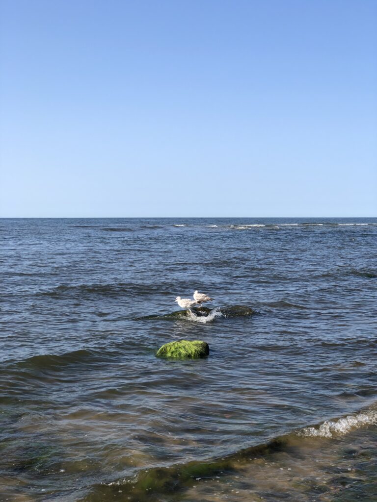 Rezerwacje: +48 790 801 321 Noclegi i kwatery prywatne Międzyzdroje – Błękitna Laguna